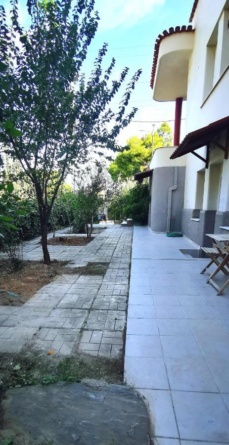 Amazon Spacious 3Bedroom Premium Neighbourhood Athens Ngoại thất bức ảnh